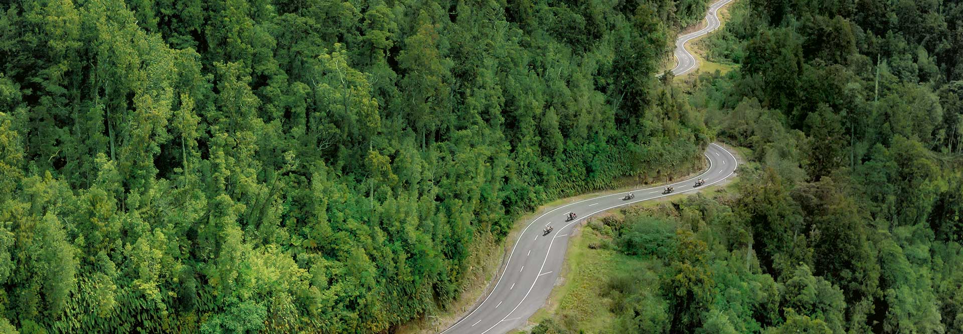 Motorrad Ausfahrt auf einer Waldstrecke